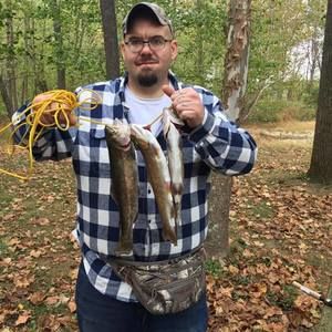 Meet your Posher, Donald